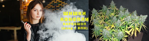 молекула духа Арсеньев