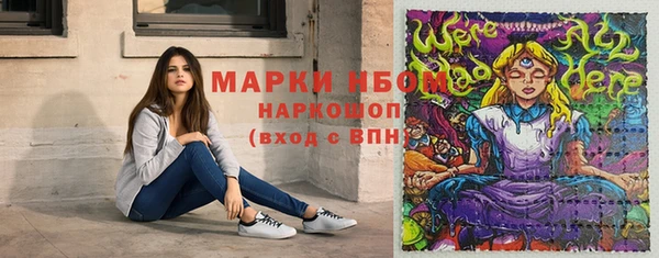 молекула духа Арсеньев