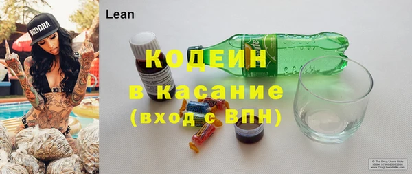 молекула духа Арсеньев