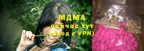 молекула духа Арсеньев